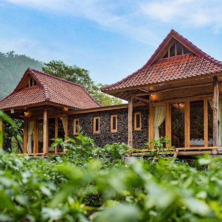 Pondok Manoka Kintamani Dış mekan fotoğraf