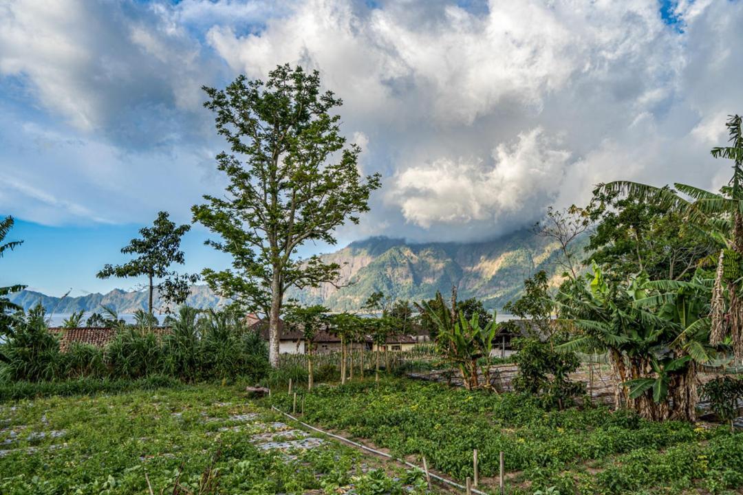 Pondok Manoka Kintamani Dış mekan fotoğraf