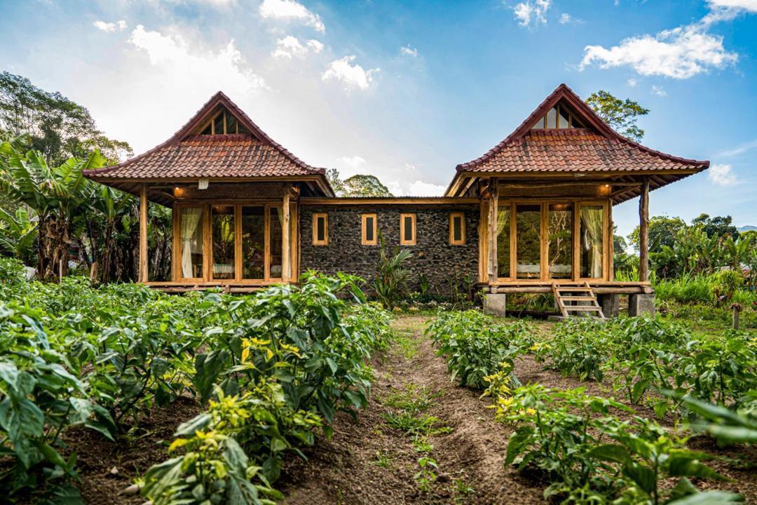 Pondok Manoka Kintamani Dış mekan fotoğraf