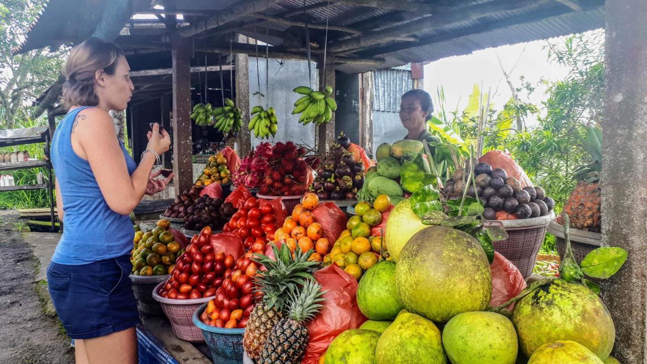 Pondok Manoka Kintamani Dış mekan fotoğraf